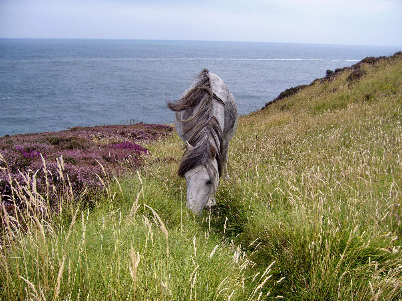 Llaneilian (Amlwch)